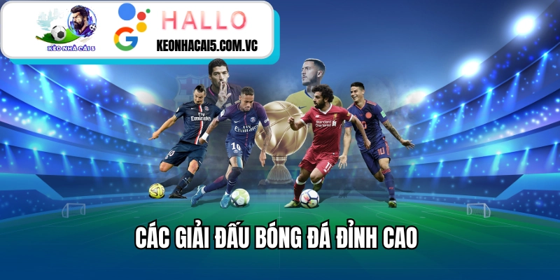 Các giải đấu bóng đá đỉnh cao