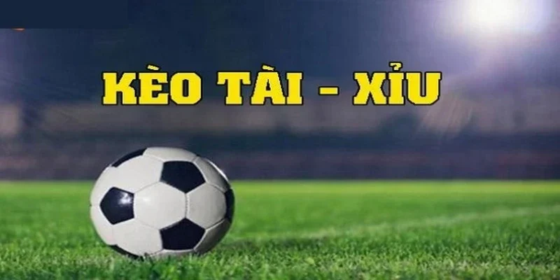 Kèo tài xỉu là xu hướng cá cược hiện nay