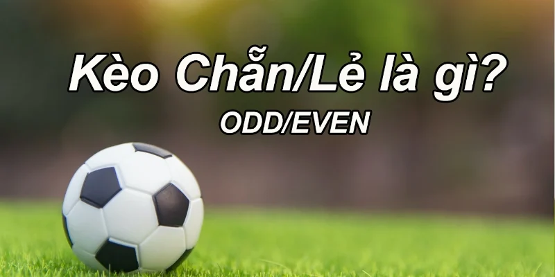 Khái niệm kèo chẵn lẻ dễ hiểu